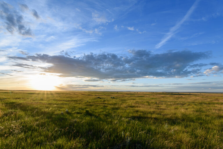 grasslands image with a sunset